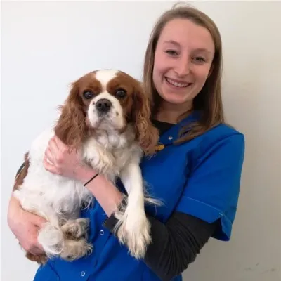 Lara Hoebers, dierenarts, met een cavalier King Charles-spaniël in haar armen
